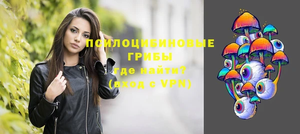 молекула духа Новокубанск