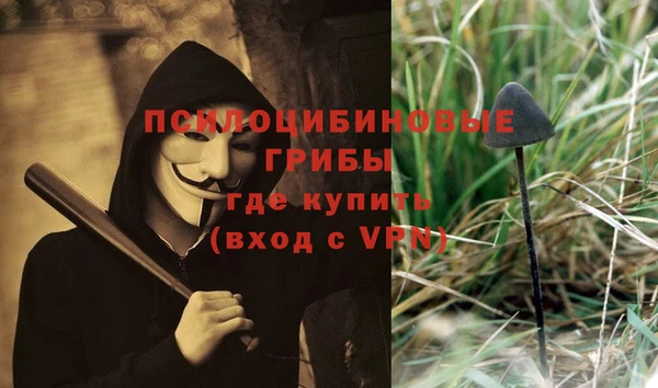 прущая мука Новодвинск