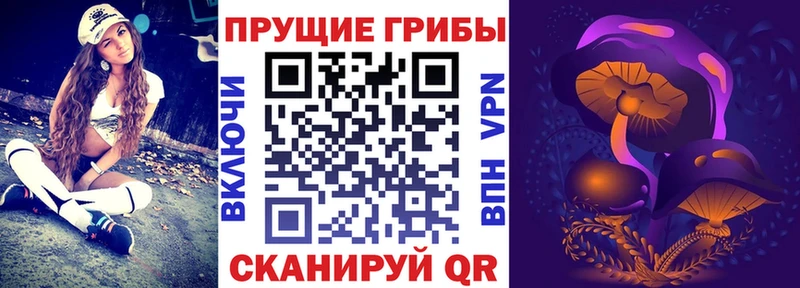 ссылка на мегу вход закладка Чёрмоз Галлюциногенные грибы мицелий